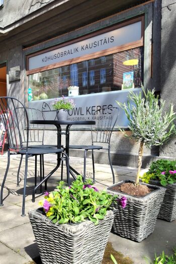 Bowl Keres poke bowl Bowl Keres poke bowl